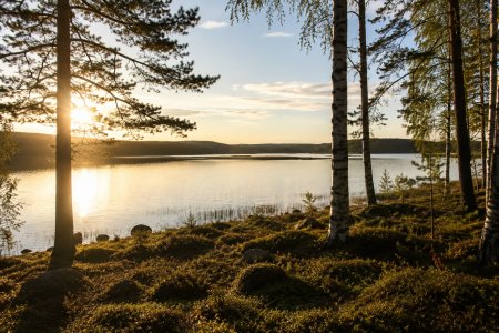 Природа Валдая